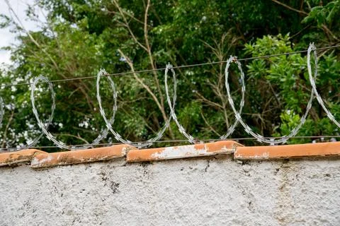 Brabwire Fence Stock Photos