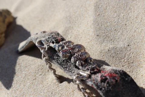 Bracelet with Sculls in the Sand Stock Photos
