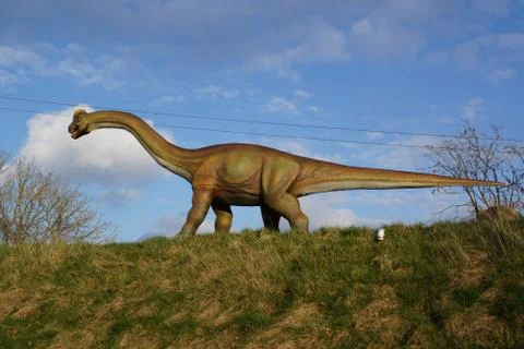 Brachiosaurus - Brachiosaurus altithorax Stock Photos