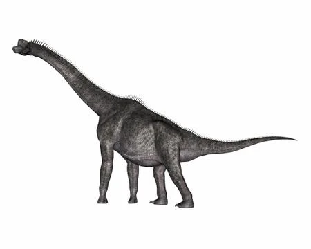 Brachiosaurus dinosaur - 3D render Stock Illustration