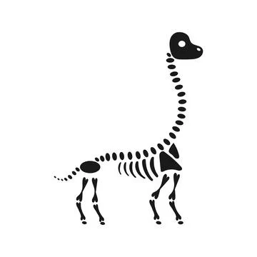 Brachiosaurus dinosaur skeleton standing on white background イラスト素材