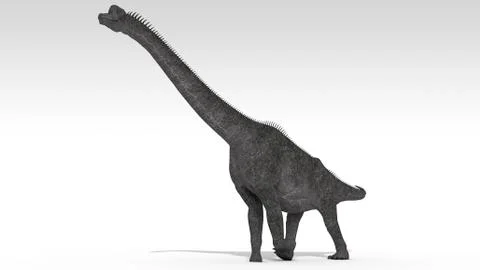 Brachiosaurus dinosaur, white background. Stock Illustration