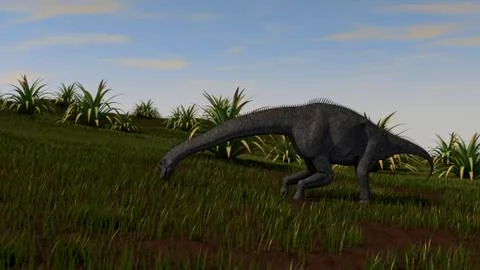Brachiosaurus grazing in a grassy field. Stock Illustration