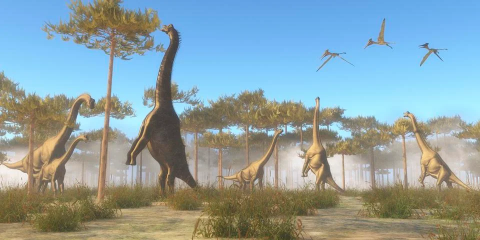 A Brachiosaurus herd grazing on treetops. Stock Illustration