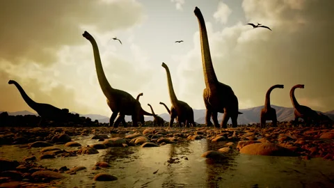Brachiosaurus herd moving through shallow lake - Prehistoric Dinosaur Animation Video stock 140624288