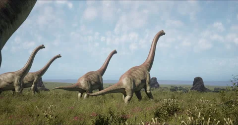 Brachiosaurus herd, sauropod walking in search of food. Jurassic period Stock Footage 198507769