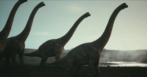Brachiosaurus herd, sauropod walking in search of food. Jurassic period Stock Footage 246684371