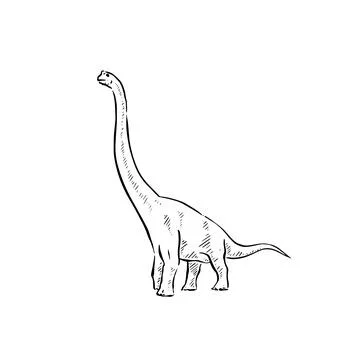 Brachiosaurus illustration Stock Illustration