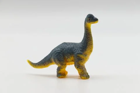 Brachiosaurus isolated on white background. Prehistoric Animals. 스톡 사진