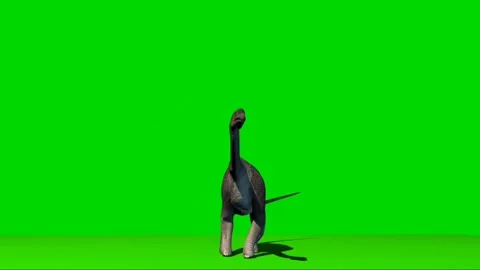 Brachiosaurus Looking on Green Screen 01 Stock Footage 221561145
