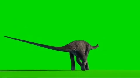 Brachiosaurus Looking on Green Screen 02 Stock Footage 221561168