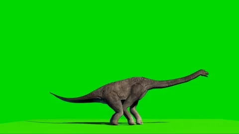 Brachiosaurus Looking on Green Screen Stock Footage 221561141