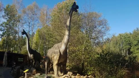 Brachiosaurus is one of the largest and most massive dinosaurs. Stock Photos