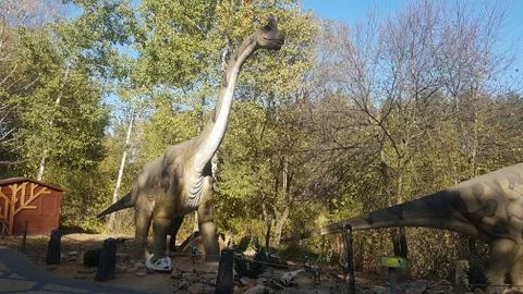 Brachiosaurus is one of the largest and most massive dinosaurs. Stock Photos