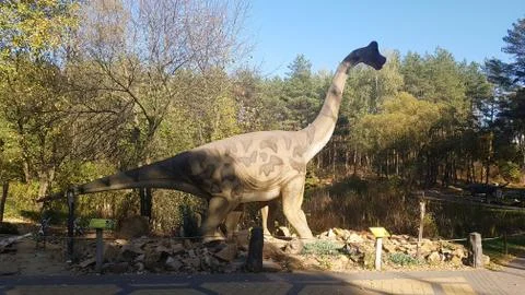 Brachiosaurus is one of the largest and most massive dinosaurs. Stock Photos