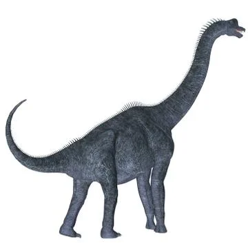 Brachiosaurus over White Stock Illustration