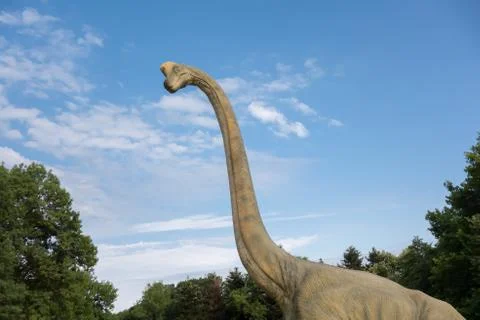 Brachiosaurus realistic model. Head close of dinosaur 写真素材