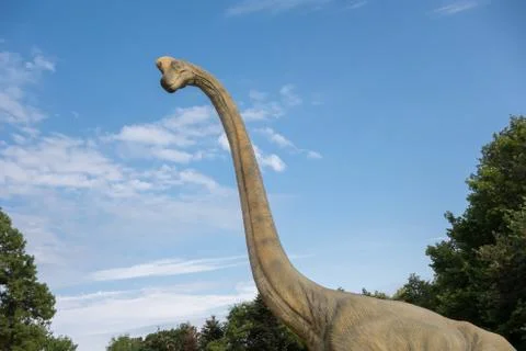 Brachiosaurus realistic model. Head close of dinosaur Stock Photos