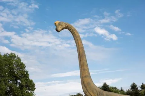 Brachiosaurus realistic model. Head close of dinosaur Stock-Fotos