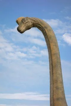 Brachiosaurus realistic model. Head close of dinosaur Stock Photos