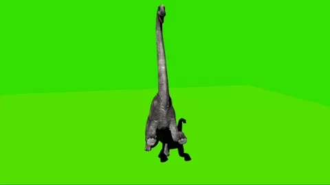 Brachiosaurus Roaring on Green Screen 01 Stock Footage 221561065
