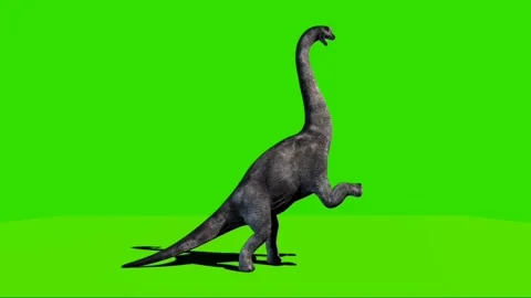 Brachiosaurus Roaring on Green Screen 02 Stock Footage 221561067