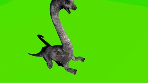 Brachiosaurus Roaring on Green Screen 03 Stock Footage 221561078