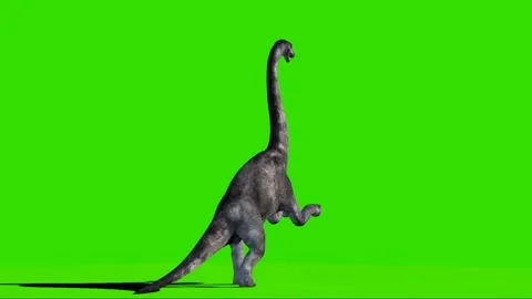 Brachiosaurus Roaring on Green Screen 05 스톡 동영상 221561167