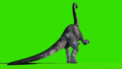 Brachiosaurus Roaring on Green Screen 06 Stock Footage 221561115