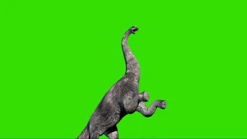 Brachiosaurus Roaring on Green Screen Stock-Footage 221561059