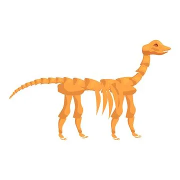 Brachiosaurus skeleton standing on two legs Stock Illustration