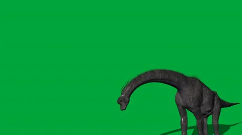 Brachiosaurus Walking Forward Stock Footage 32846543