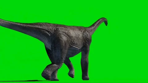 Brachiosaurus Walking on Green Screen 05 Stock Footage 221561201