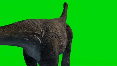 Brachiosaurus Walking on Green Screen 07 Stock Footage 221561283