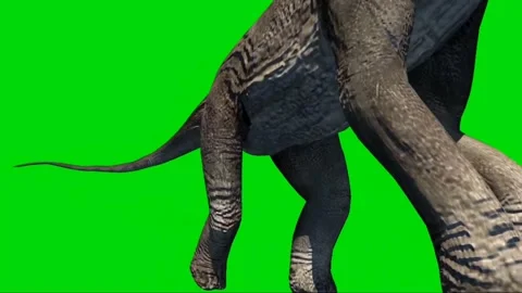 Brachiosaurus Walking on Green Screen 09 Stock Footage 221561259