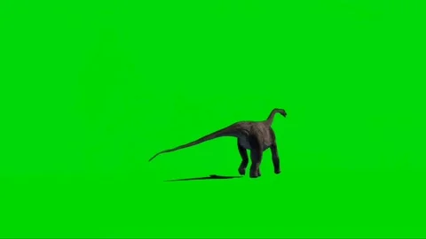 Brachiosaurus Walking on Green Screen 13 Video stock 221561318