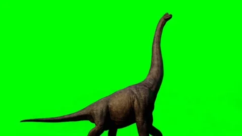 Brachiosaurus Walking on Green Screen Stock Footage 221560928