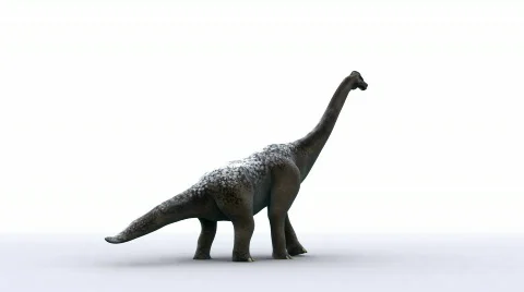 Brachy Stock Footage 736873