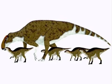 Brachylophosaurus Side Profile Stock Illustration