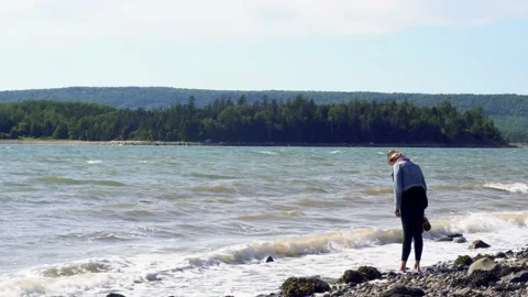 A bracing day at the beach Stock Footage 158048770