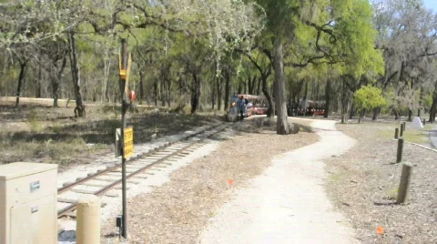 Brackenridge small train 0537 AVI Stock Footage 697278