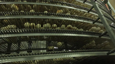 Brad baking Stock Footage 28619335