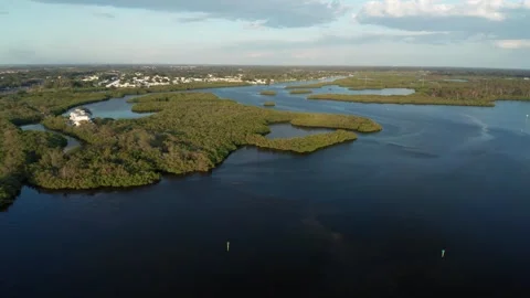 Braden River Flowing Through Lush Mangrove Islands at Dusk Vídeos de archivo 339067080