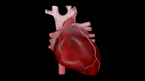 Bradycardia 動画素材 122027102