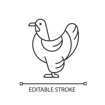 Brahma hen linear icon Stock Illustration