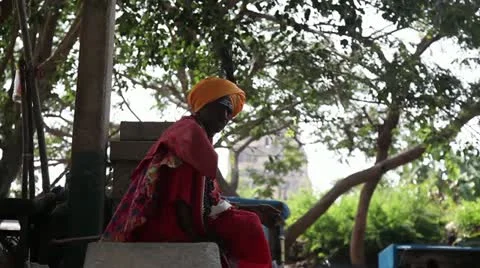 Brahman in India Stock Footage 22321942