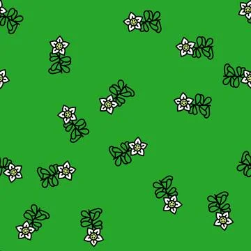 Brahmi ayurvedic herb vector seamless pattern Stock Illustration