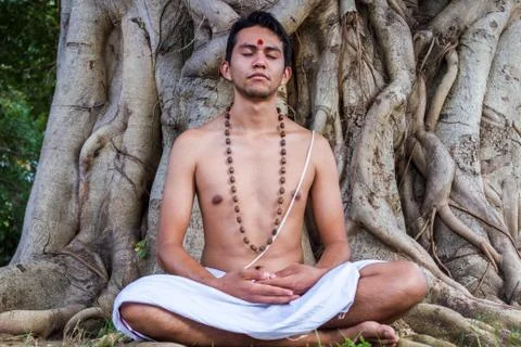 Brahmin Meditating Foto stock