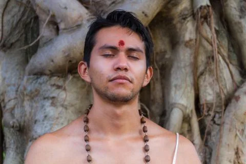 Brahmin Meditating Stock Photos
