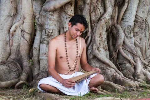 Brahmin Reading Stock Photos